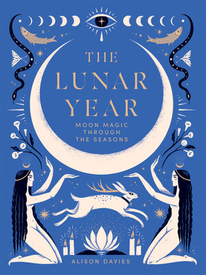 cover image of The Lunar Year
